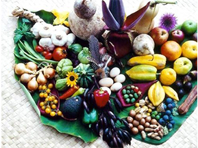 農產品溯源系統具有哪些優勢？