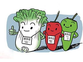 食品追溯系統帶來的優勢有哪些？